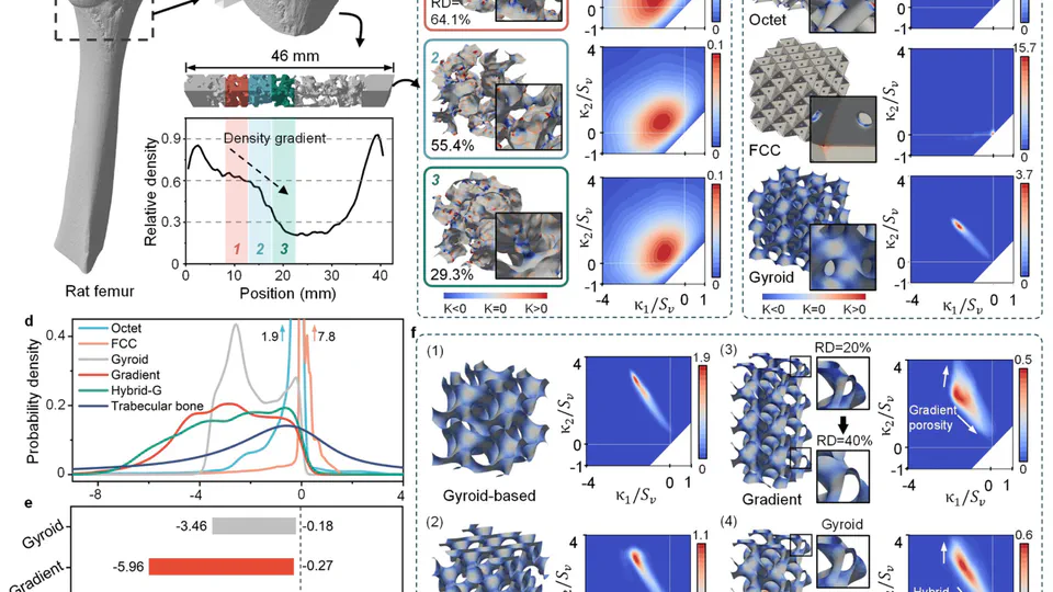 Geometric characteristics analysis and design of bone-mimicking lattices