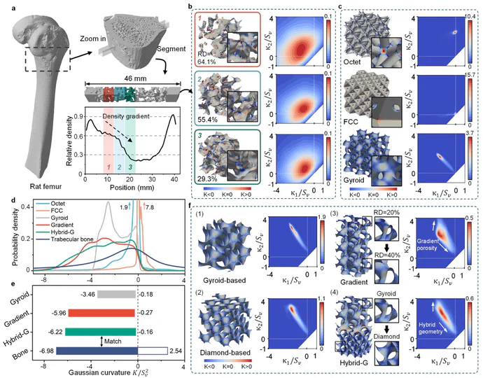 Geometric characteristics analysis and design of bone-mimicking lattices
