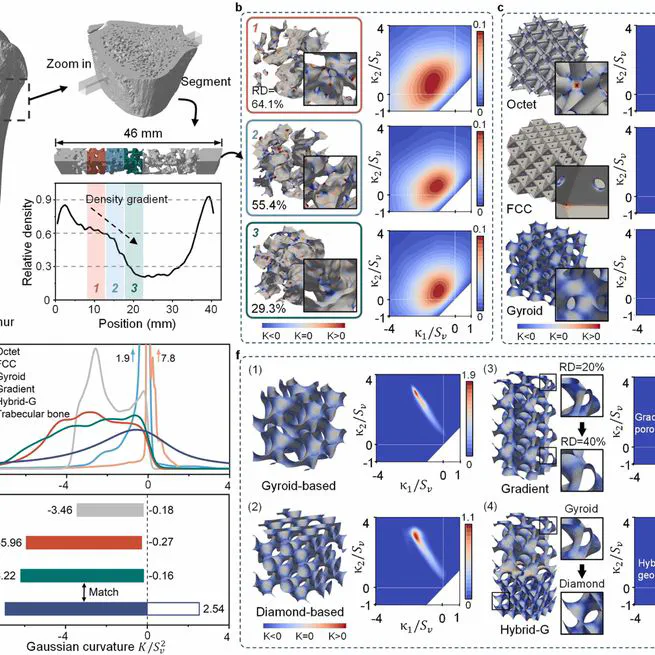 Biocompatible piezoelectric lattice materials with ultrasound-regulated multimodal responses